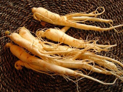 raiz de ginseng para aumentar a potência após 60