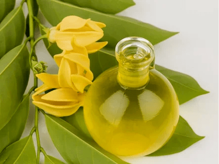 Aromaterapia para melhorar a potência